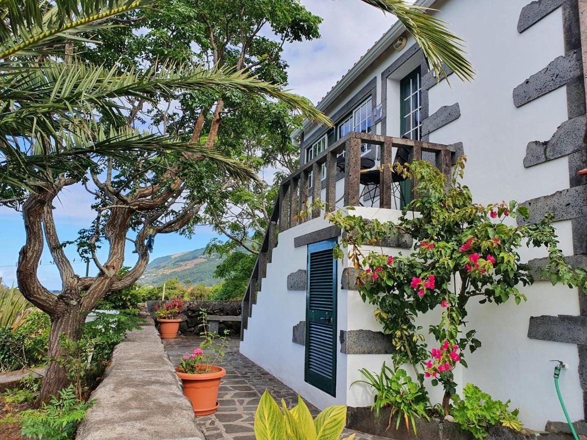 Casa Do Gato Preto Villa Santo Amaro  Exterior photo